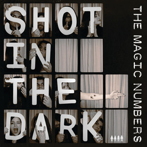 A Shot In The Dark