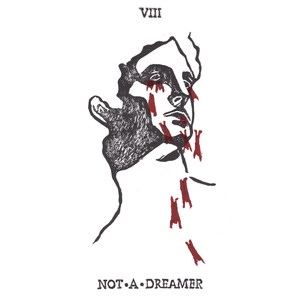 Not a Dreamer