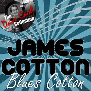 Blues Cotton - 