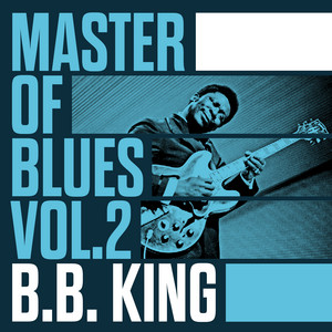 Master of Blues Vol. 2 - B.B. Kin