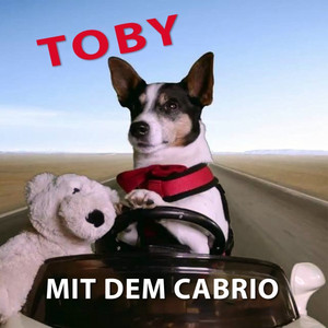 Toby mit dem Cabrio