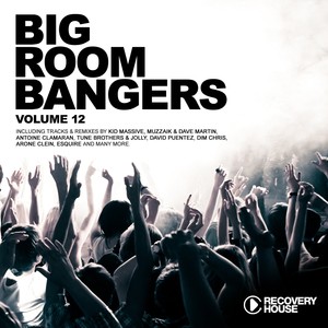 Big Room Bangers, Vol. 12