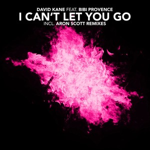 I Can't Let You Go (feat. Bibi Pr