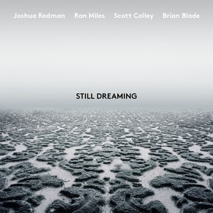 Still Dreaming (feat. Ron Miles, 