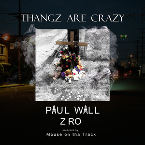 Thangz Are Crazy (feat. Z-Ro) - S