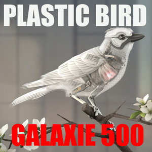 Plastic Bird
