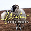 Spoken Psalms Set to Celtic Voice