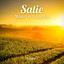 Masters of Relaxation: Satie, Vol