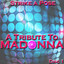 A Tribute To Madonna Vol 1