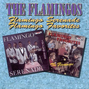 Flamingo Serenades / Flamingo Fav