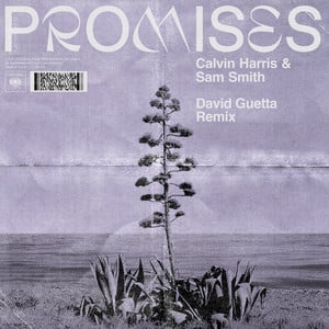 Promises (with Sam Smith) [David 