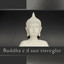 Buddha e il suo risveglio - Zen m
