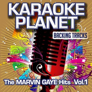 The Marvin Gaye Hits, Vol. 1