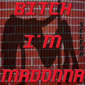 Bitch I'm Madonna (Remixed Sound 