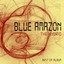 The Best Of Blue Amazon: The Hybr