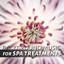 Background Music for Spa Treatmen
