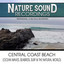 Central Coast Beach (Ocean Waves,