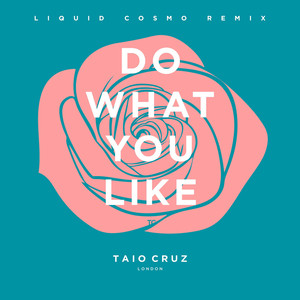 Do What You Like (Liquid Cosmo Re