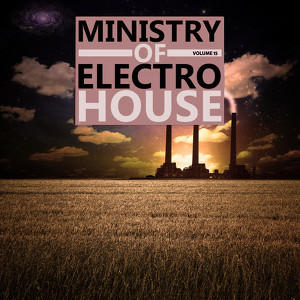 Ministry Of Electro House, Vol.15