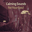 Calming Sounds for Your Soul  Me