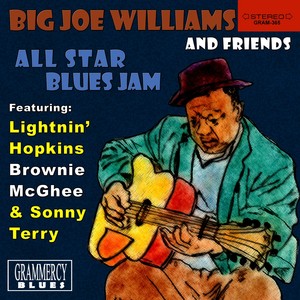 Big Joe Williams And Friends