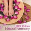 100 % Wellness - Natural Harmony