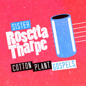 Cotton Plant Gospels