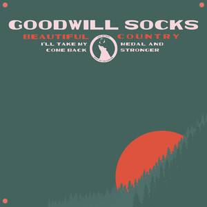 Goodwill Socks