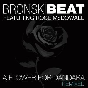 A Flower for Dandara: Remixed