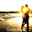 Every Goodbye