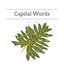 Capital Words