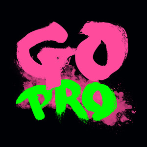 Go Pro