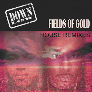 Fields of Gold (Remixes) - EP
