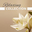 Relaxing Collection  Classical M