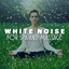 White Noise for Spa and Massage