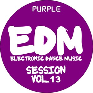 EDM Electronic Dance Music Sessio