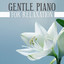 Gentle Piano for Relaxation - Soo