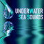 Underwater Sea Sounds - Binaural 