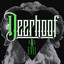 Deerhoof Vs. Evil