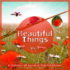 Beautiful Things, Vol. 7 (A Colle
