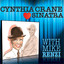 Cynthia Loves Sinatra