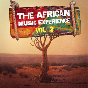 The African Music Experience, Vol