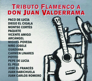 Tributo Flamenco A Don Juan Valde