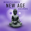 Mindfulness New Age Sounds  Medi