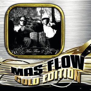 Mas Flow 2