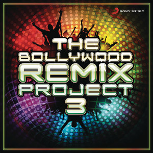 The Bollywood Remix Project, 3