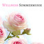 Wellness Sommermusik - Beruhigend