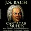 Bach, Vol. 06 - Cantatas & Motets