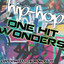 Hip-Hop One Hit Wonders