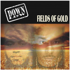 Fields of Gold - Single